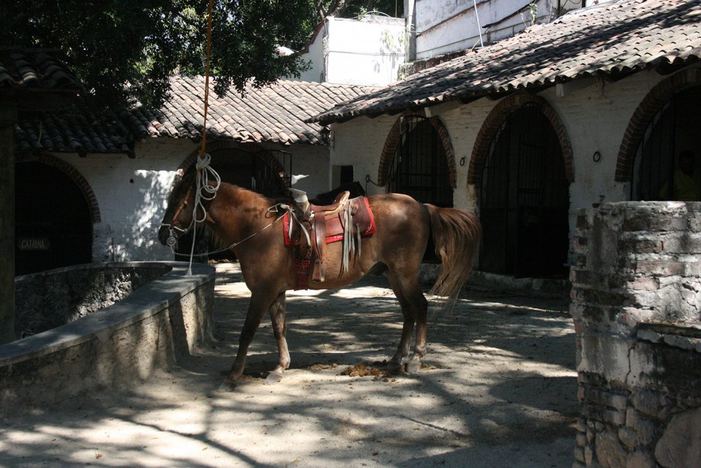 Caballerizas de la Hacienda Vista Hermosa