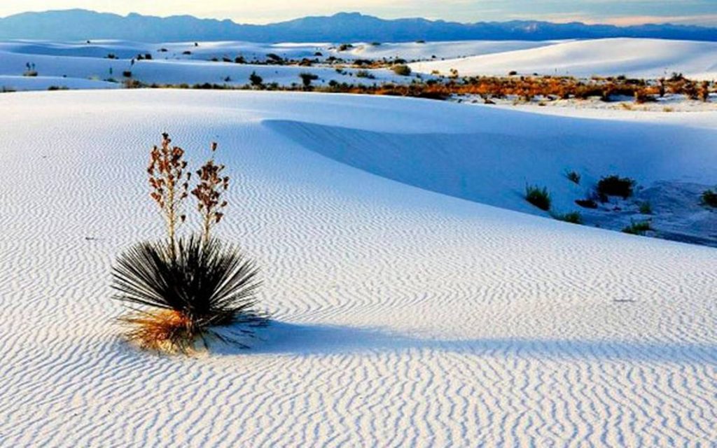 Dunas de Yeso Coahuila