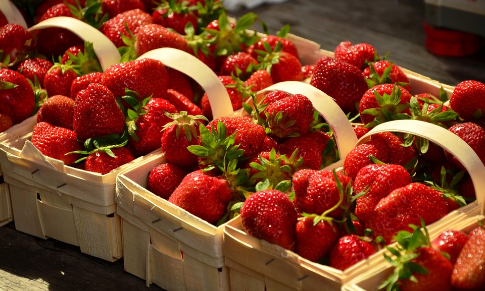 Fresas de Irapuato Guanajuato