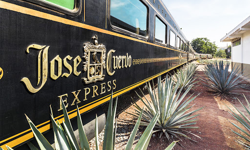 Tren Tequila