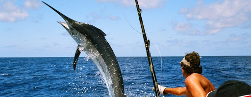pesca de pez vela