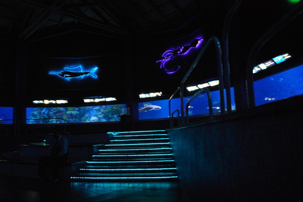 Interior del Acuario