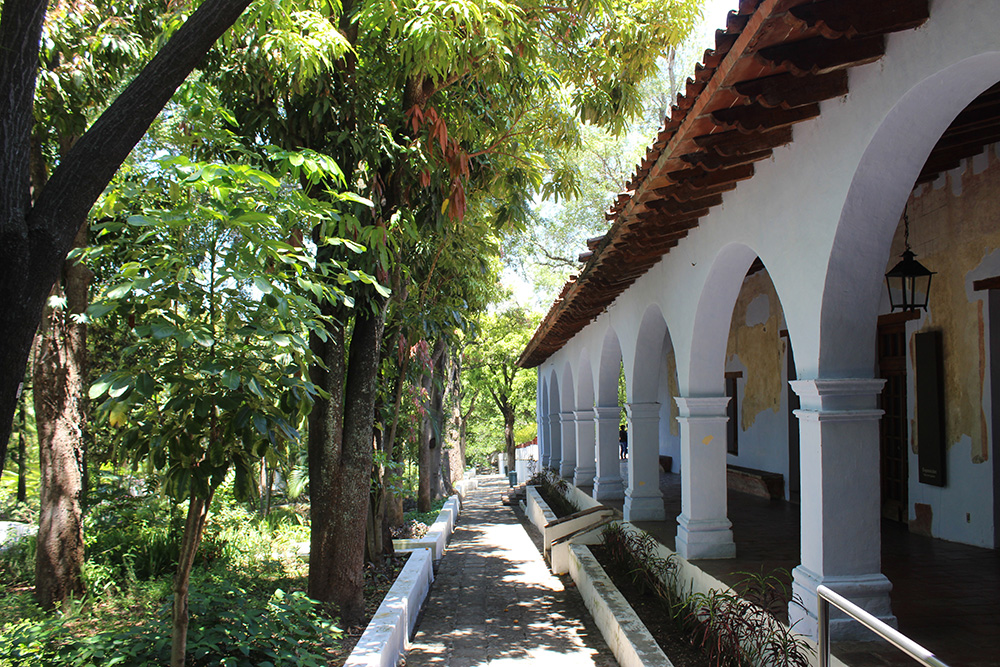 Interior del Jardin Borda