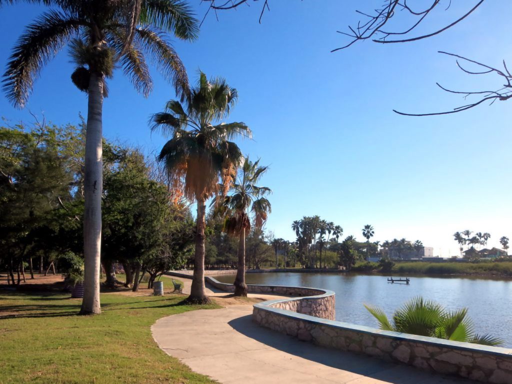 Laguna en el Bosque de la Ciudad en Mazatlán