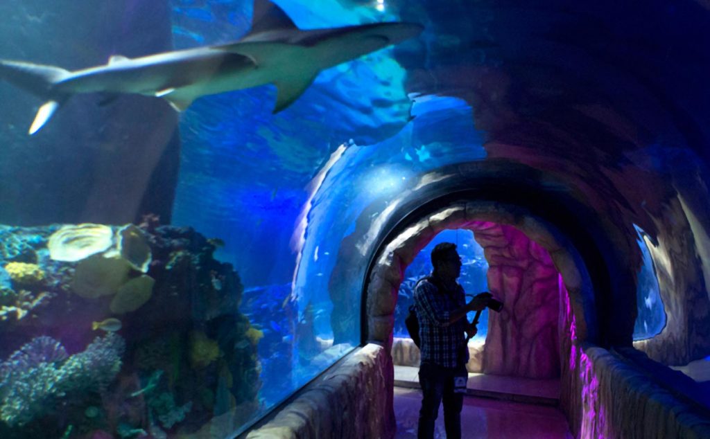 Tunel en el Acuario de Veracruz