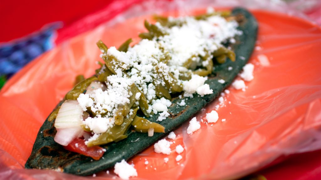 El Tlacoyo