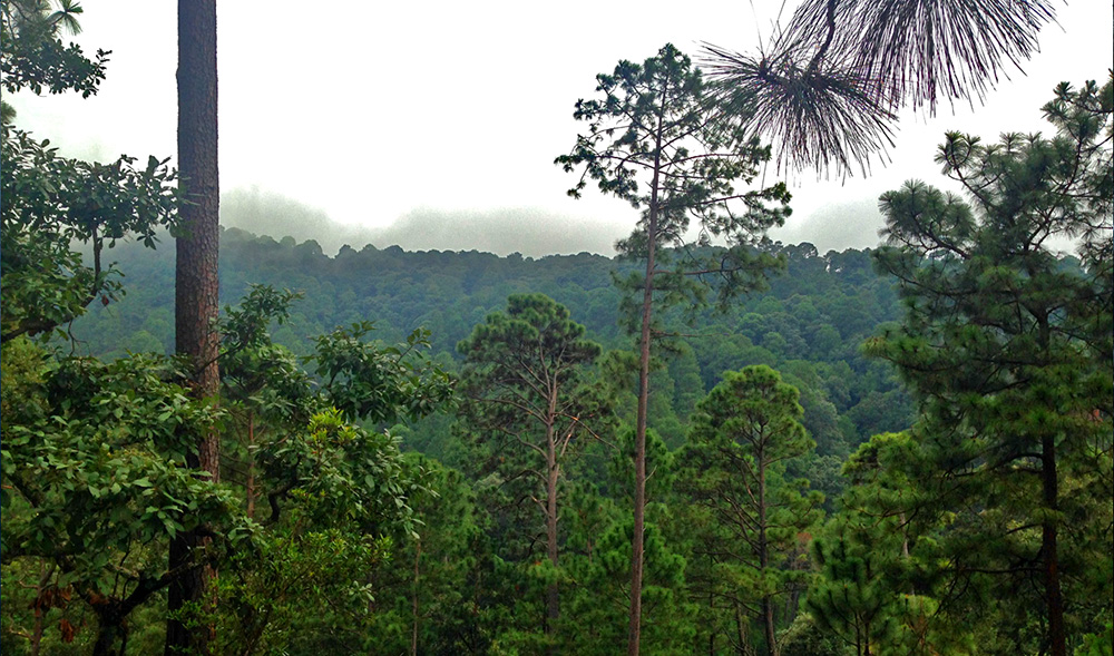 Parque nacional José María Morelos en los alrededores de Morelia